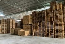 Cung cấp pallet gỗ chất lượng tại Bình Dương — Giải pháp tối ưu cho kho hàng & logistics