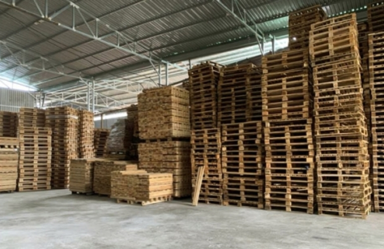 Cung cấp pallet gỗ chất lượng tại Bình Dương — Giải pháp tối ưu cho kho hàng & logistics
